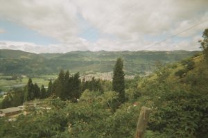 Vereda