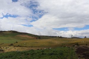 Montañas de paramo desoladas por la perdida de material vegetal nativo a causa de frontera agrícola